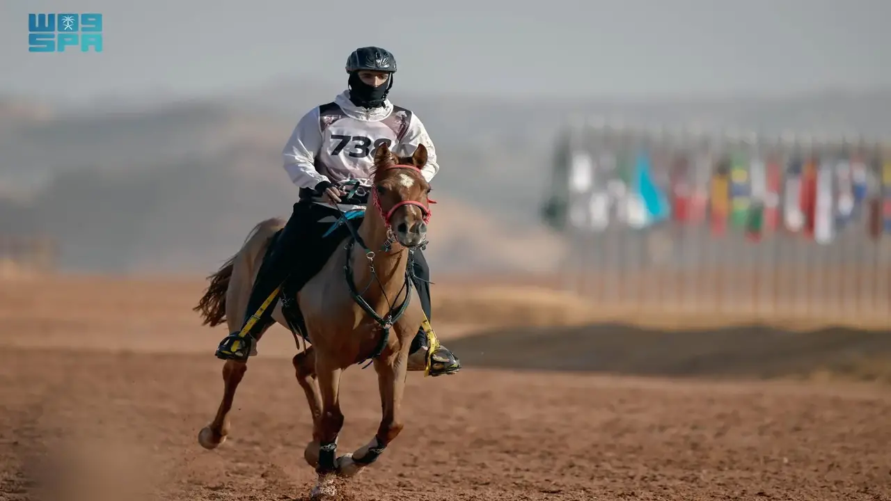 انطلاق بطولة الفرسان للقدرة والتحمّل في العُلا الأسبوع المقبل
